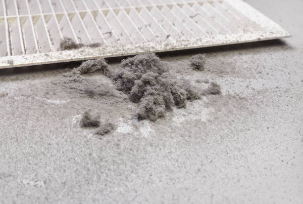 Best HVAC Maintenance and Cleaning  in Wolf Creek, UT