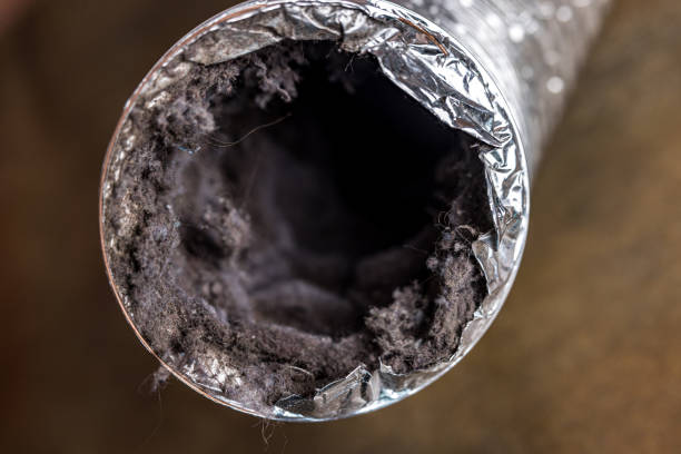 Best Best Air Duct Cleaning Near Me  in Wolf Creek, UT